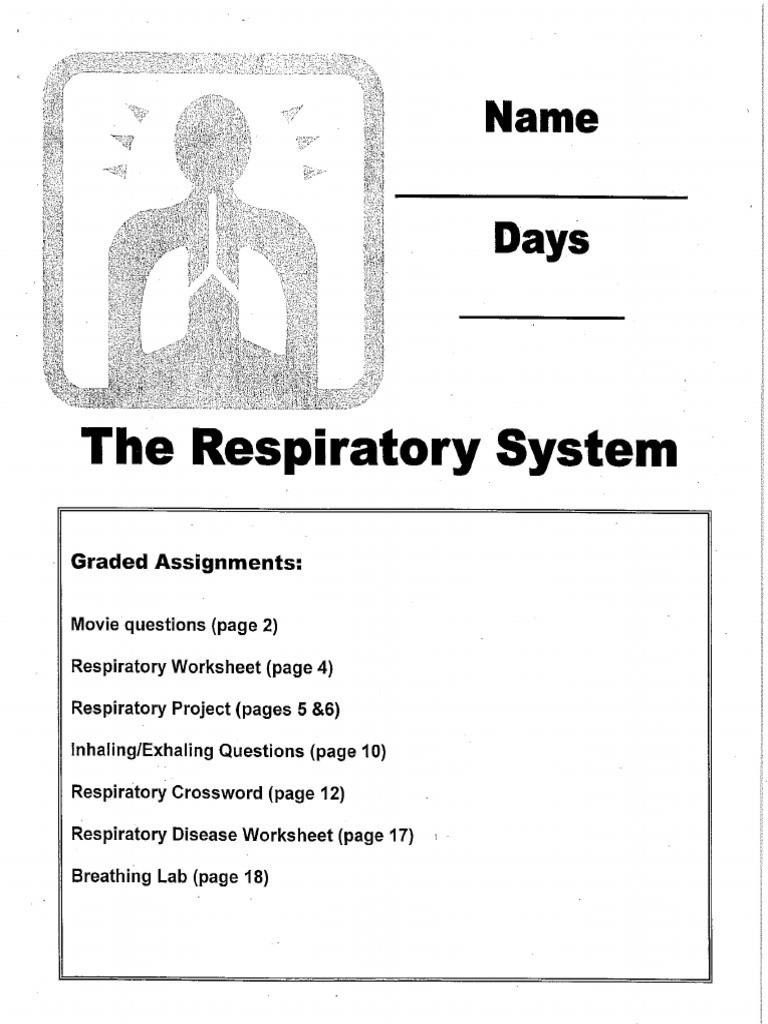 The Respiratory System Worksheet Respiratory System Packet 14