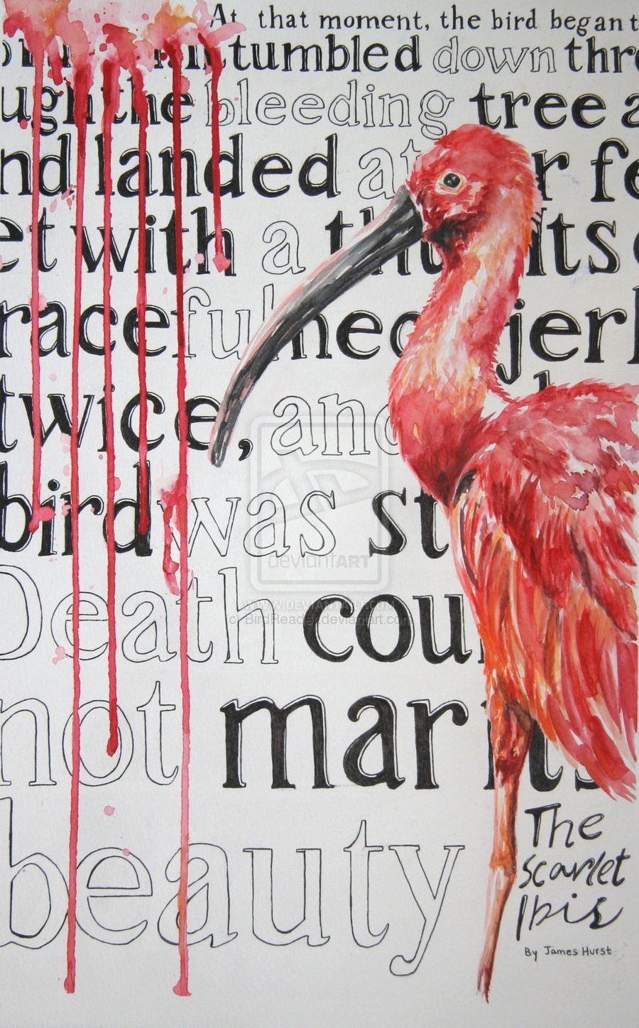 The Scarlet Ibis Worksheet Freshmen Cp Hill S English Unleashedfe