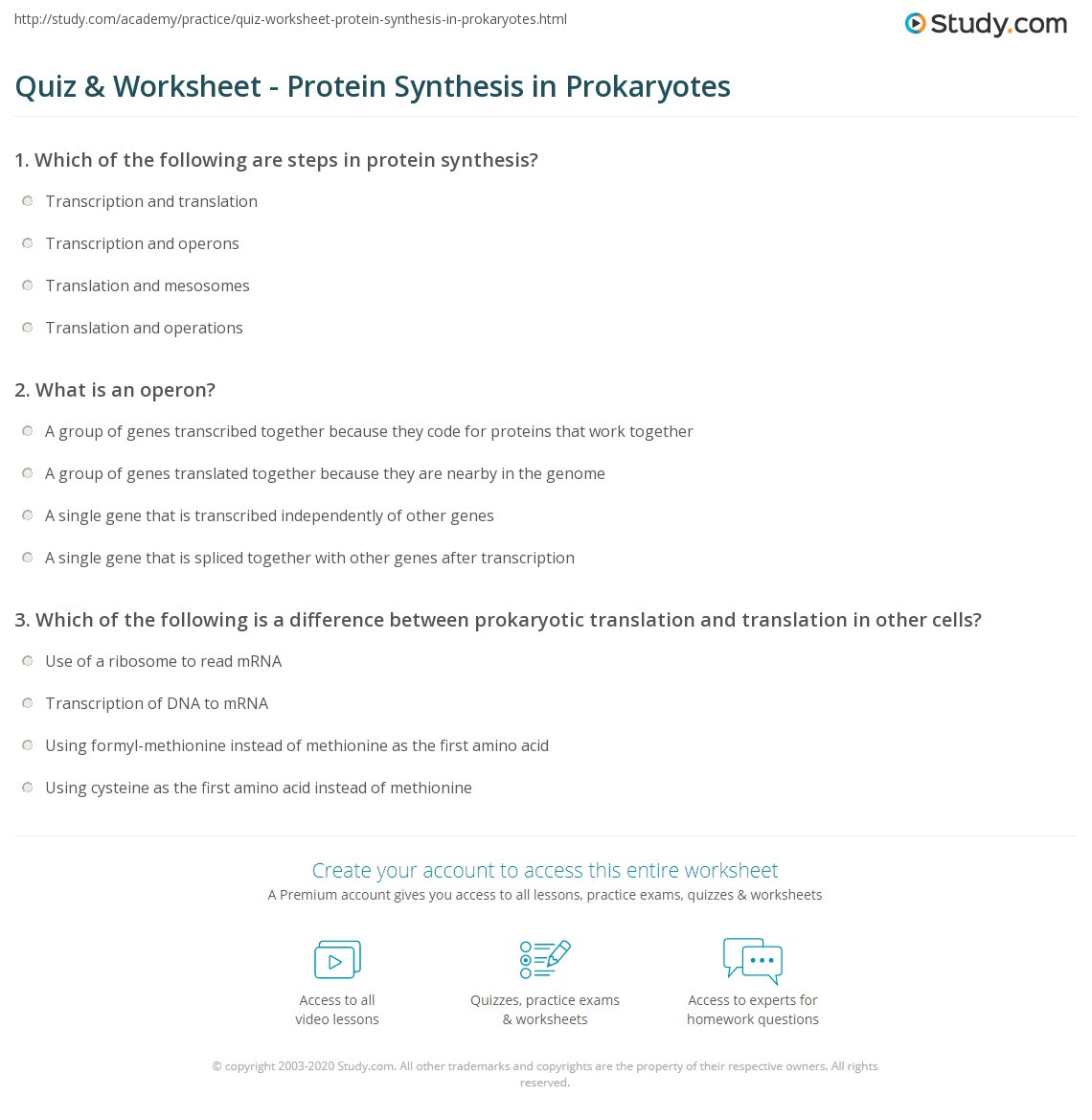 Translation and Transcription Worksheet Quiz &amp; Worksheet Protein Synthesis In Prokaryotes