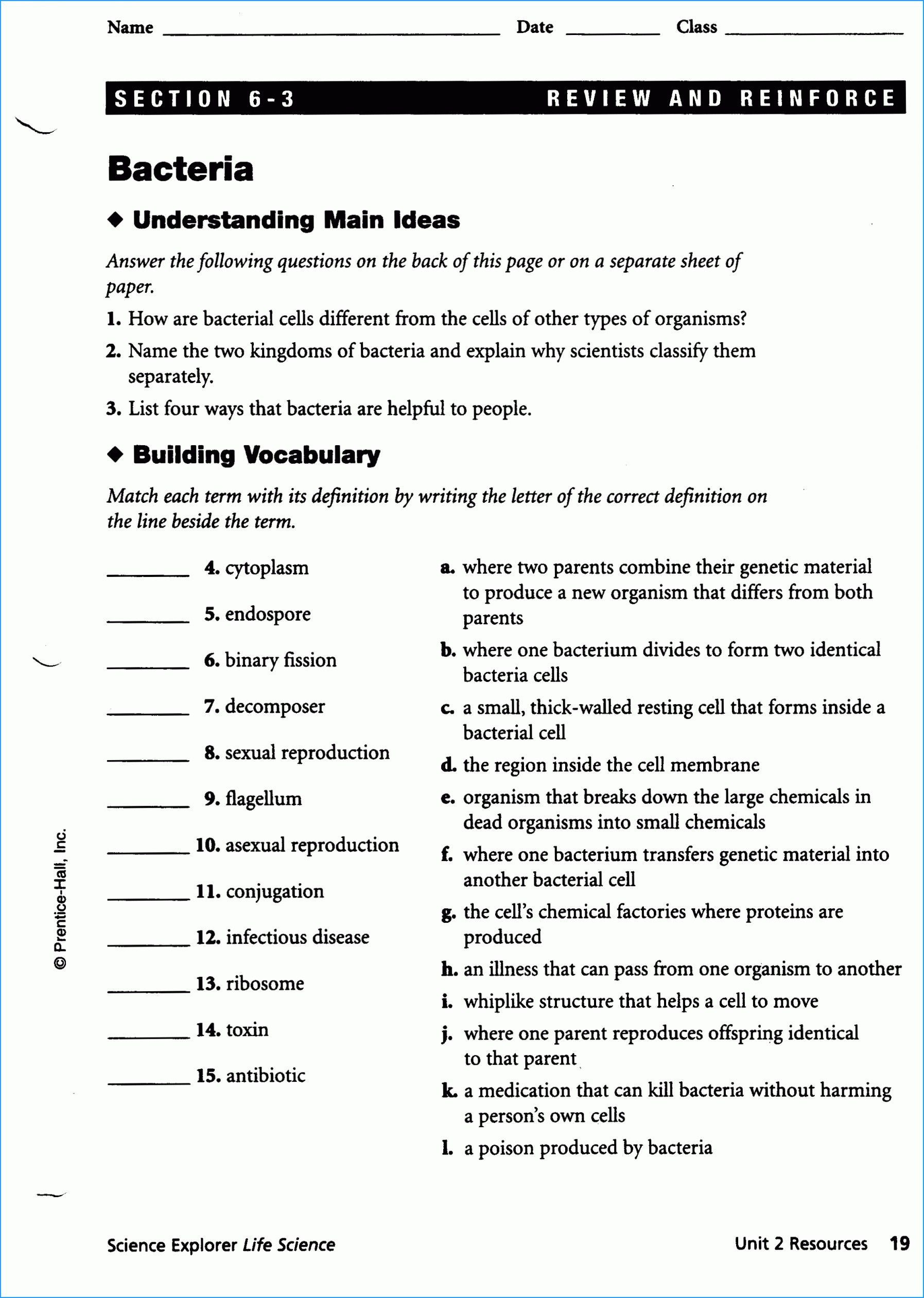 Virus and Bacteria Worksheet New Periodic Table Vocabulary